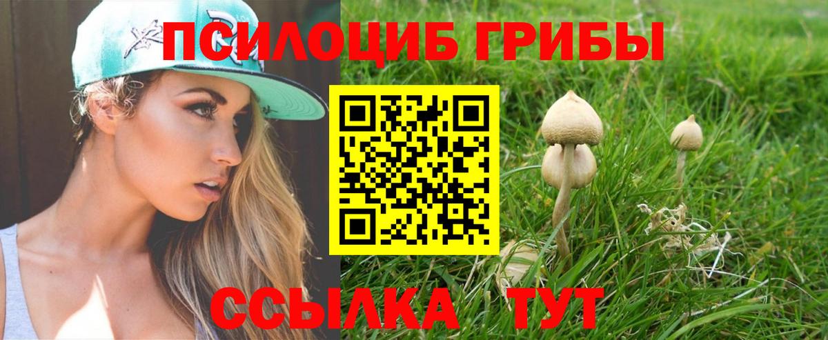 Галлюциногенные грибы GOLDEN TEACHER Арсеньев