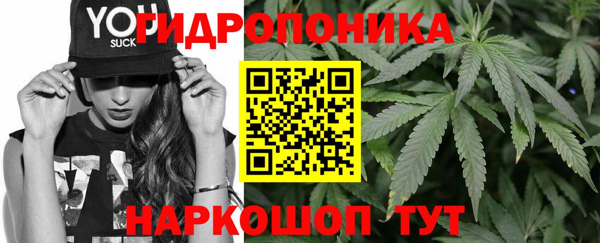 Бошки марихуана Bruce Banner Арсеньев